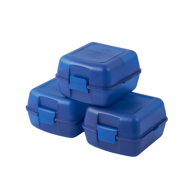 Pastillero/caja Bento de plástico sellado a prueba de fugas